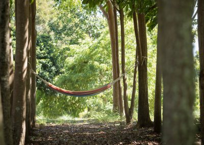Hammock on our Mahogany Forest